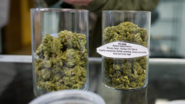 What is a good brand of stock pot?