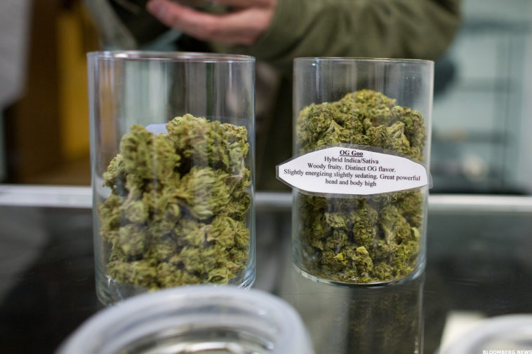 What is a good brand of stock pot?