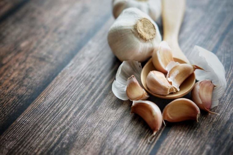 What is a good garlic substitute?