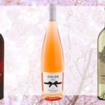 What is a good inexpensive wine for party?