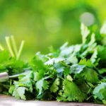 What is a good substitute for culantro?