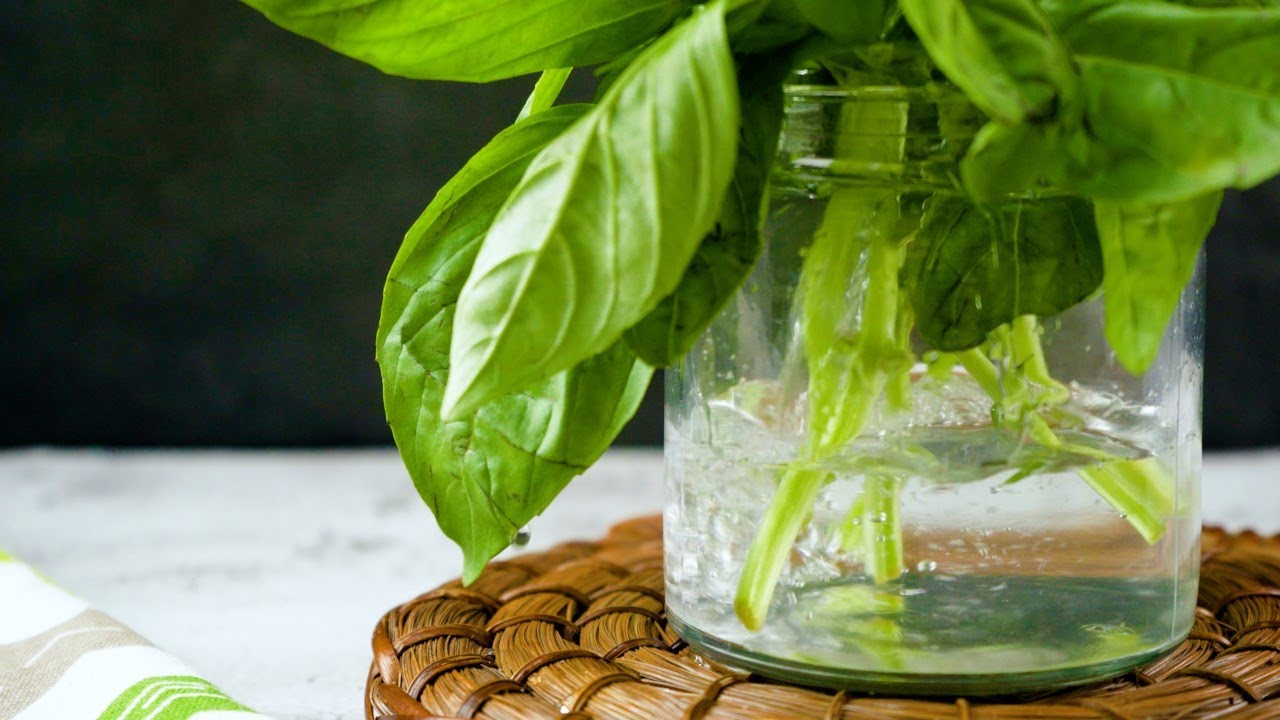 What is a good substitute for fresh basil?
