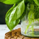 What is a good substitute for fresh basil?