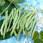 What is a half runner bean?