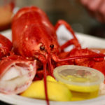 What is a lobster in dating?