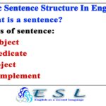 What is a sentence for spindly?