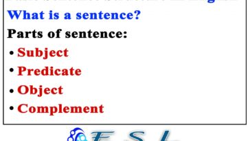 What is a sentence for spindly?
