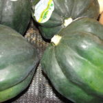 What is a white squash called?