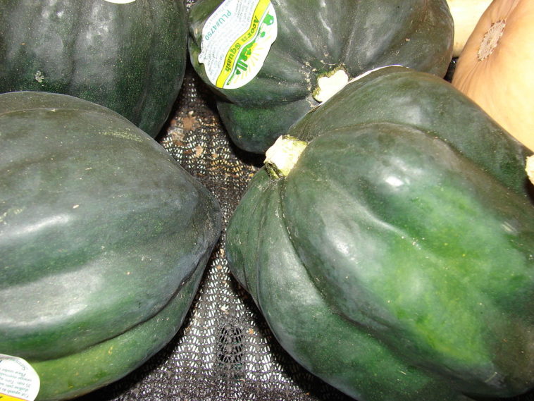 What is a white squash called?