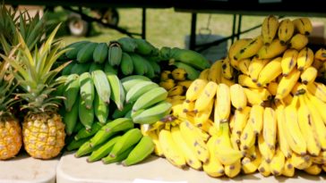 What is bad about bananas?