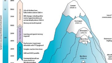What is considered a high elevation?