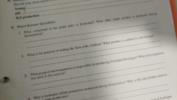 What is fermentation short answer?