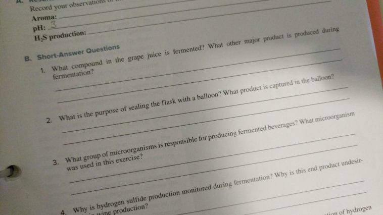 What is fermentation short answer?