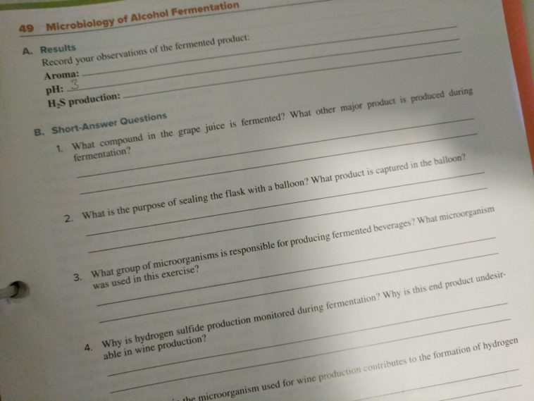 What is fermentation short answer?