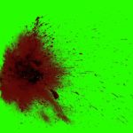 What is green blood?