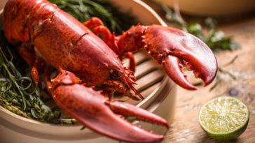 What is lobster theory?