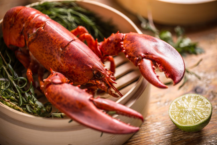 What is lobster theory?