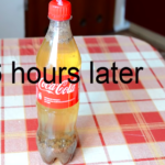 What is milk and coke called?