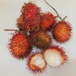 What is monkey apple good for?