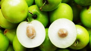 What is not a single seeded fruit?