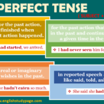 What is past perfect example?