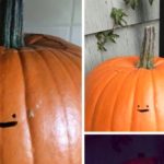 What is pumpkin face?