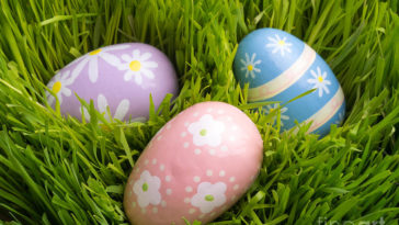 What is the Easter grass called?