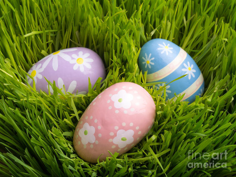 What is the Easter grass called?