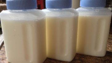What is the best container to freeze milk in?
