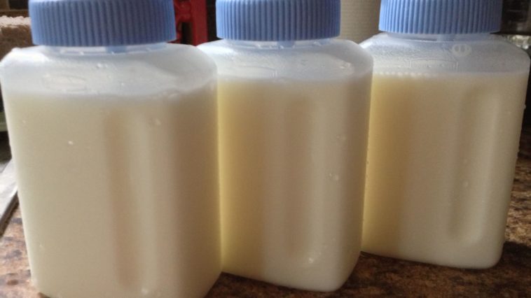 What is the best container to freeze milk in?