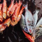 What is the best frozen fish?