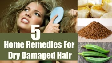 What is the best home remedy for dry damaged hair?