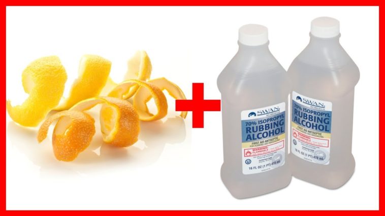 What is the best homemade disinfectant?