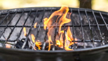 What is the best oil to season a grill?