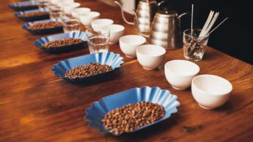 What is the best tasting coffee?