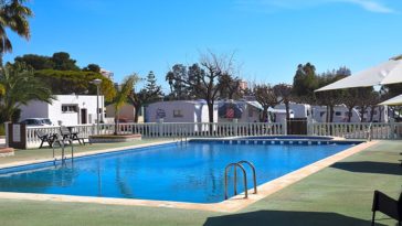 What is the best thickener?