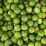 What is the best type of lime tree?