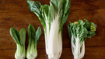 What is the best way to eat bok choy?