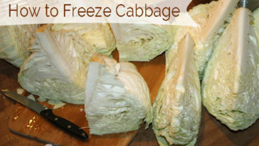 What is the best way to preserve cabbage?
