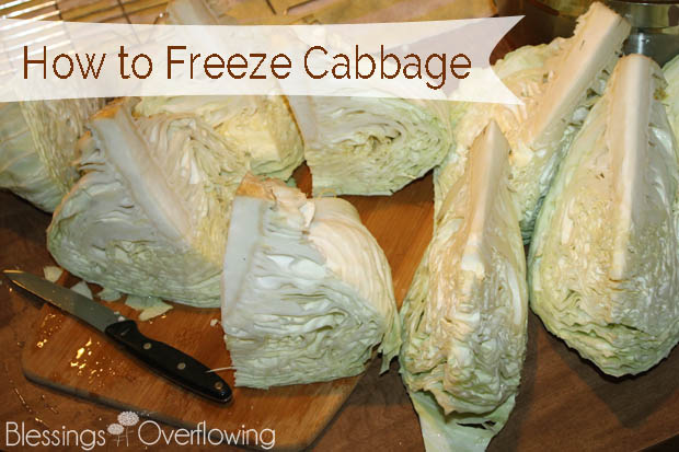 What is the best way to preserve cabbage?