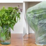 What is the best way to preserve fresh basil?