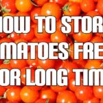 What is the best way to preserve fresh tomatoes?