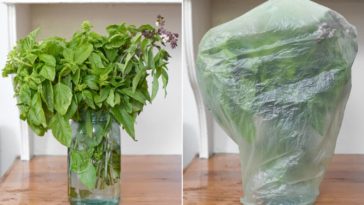 What is the best way to store fresh basil?