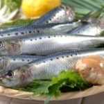 What is the best wild-caught fish to eat?