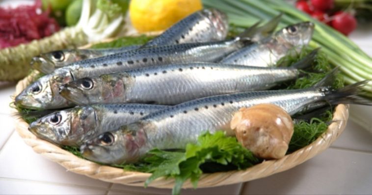 What is the best wild-caught fish to eat?
