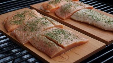 What is the best wood to smoke salmon with?