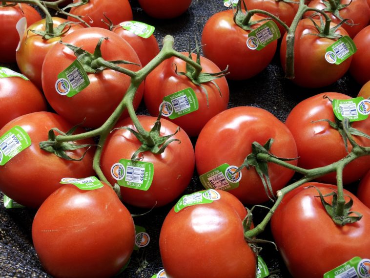 What is the big tomato called?