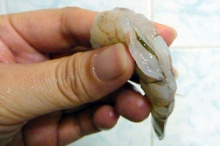 What is the black stuff in shrimp?