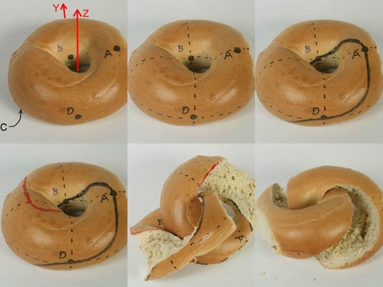 What is the correct way to eat a bagel?