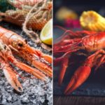 What is the difference between a crawfish and a crawdad?